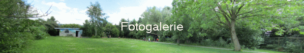 Fotogalerie