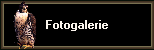 Fotogalerie