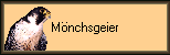 Mnchsgeier