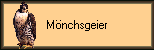Mnchsgeier