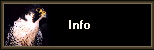  Info