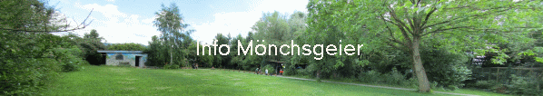     Info M�nchsgeier 