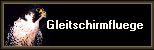          Gleitschirmfluege
