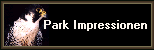          Park Impressionen