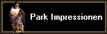          Park Impressionen